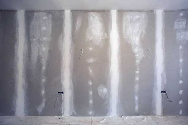 Best Drywall Sanding and Smoothing  in Kaunakakai, HI